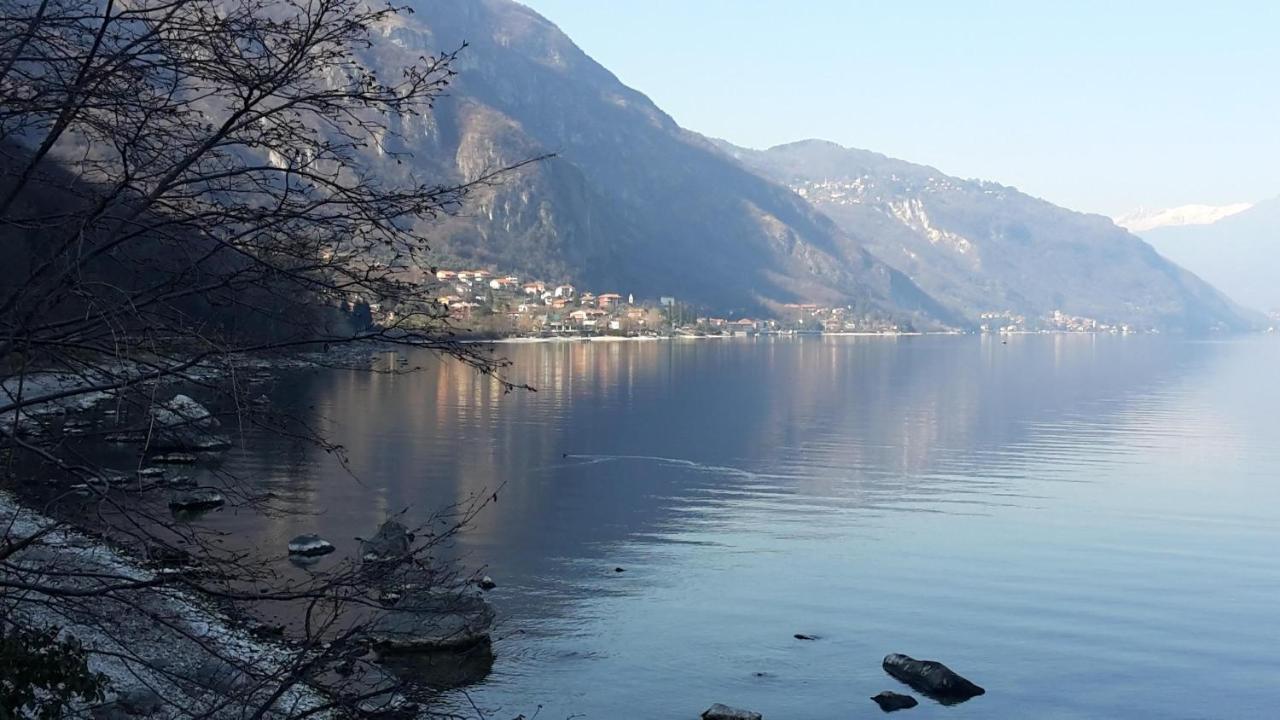 New Eleven Apartment On Como Lake Oliveto Lario Zewnętrze zdjęcie